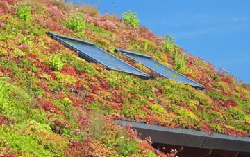 Ansty living roof systems
